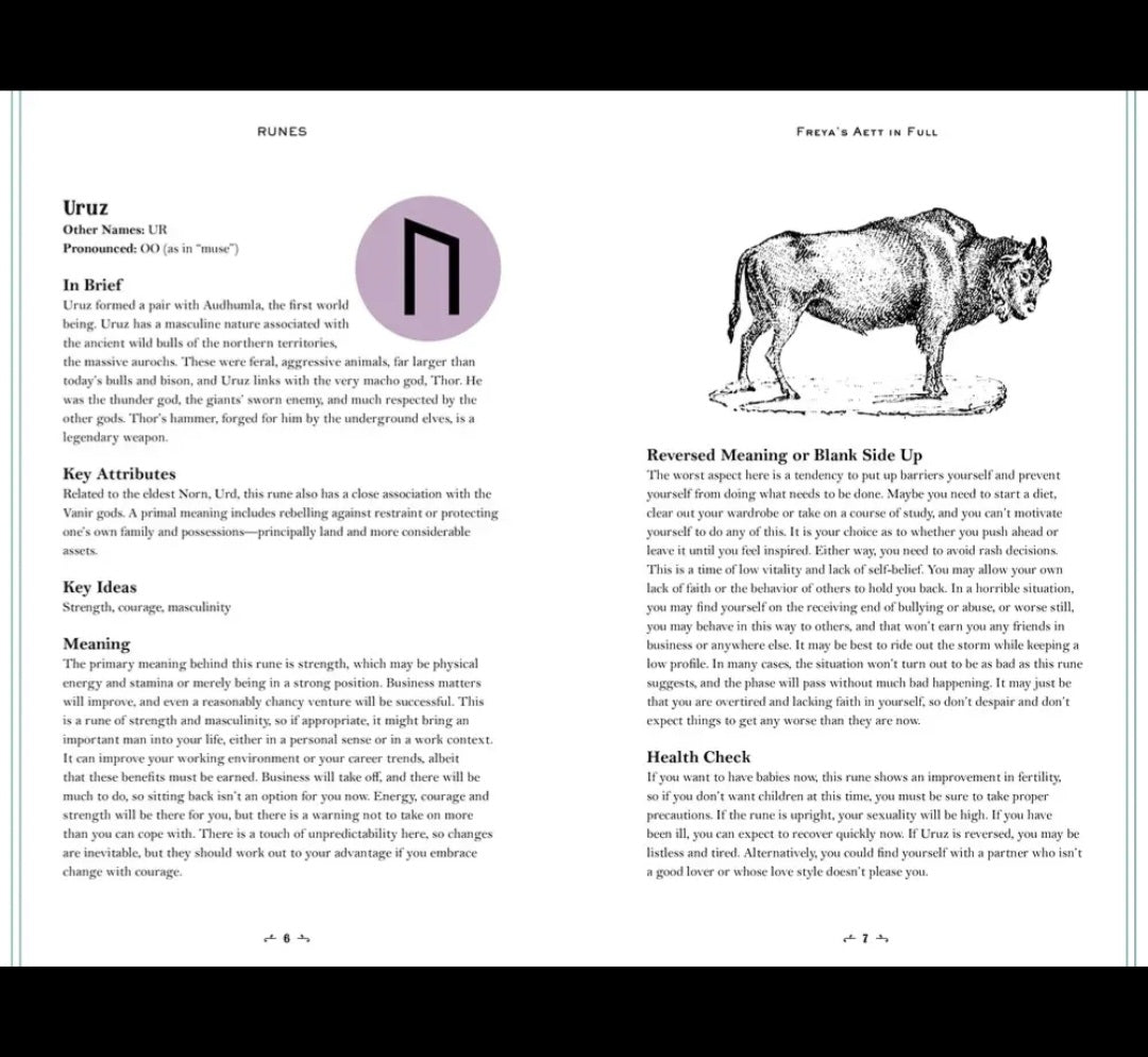 In Focus Runes : Your personal guide to