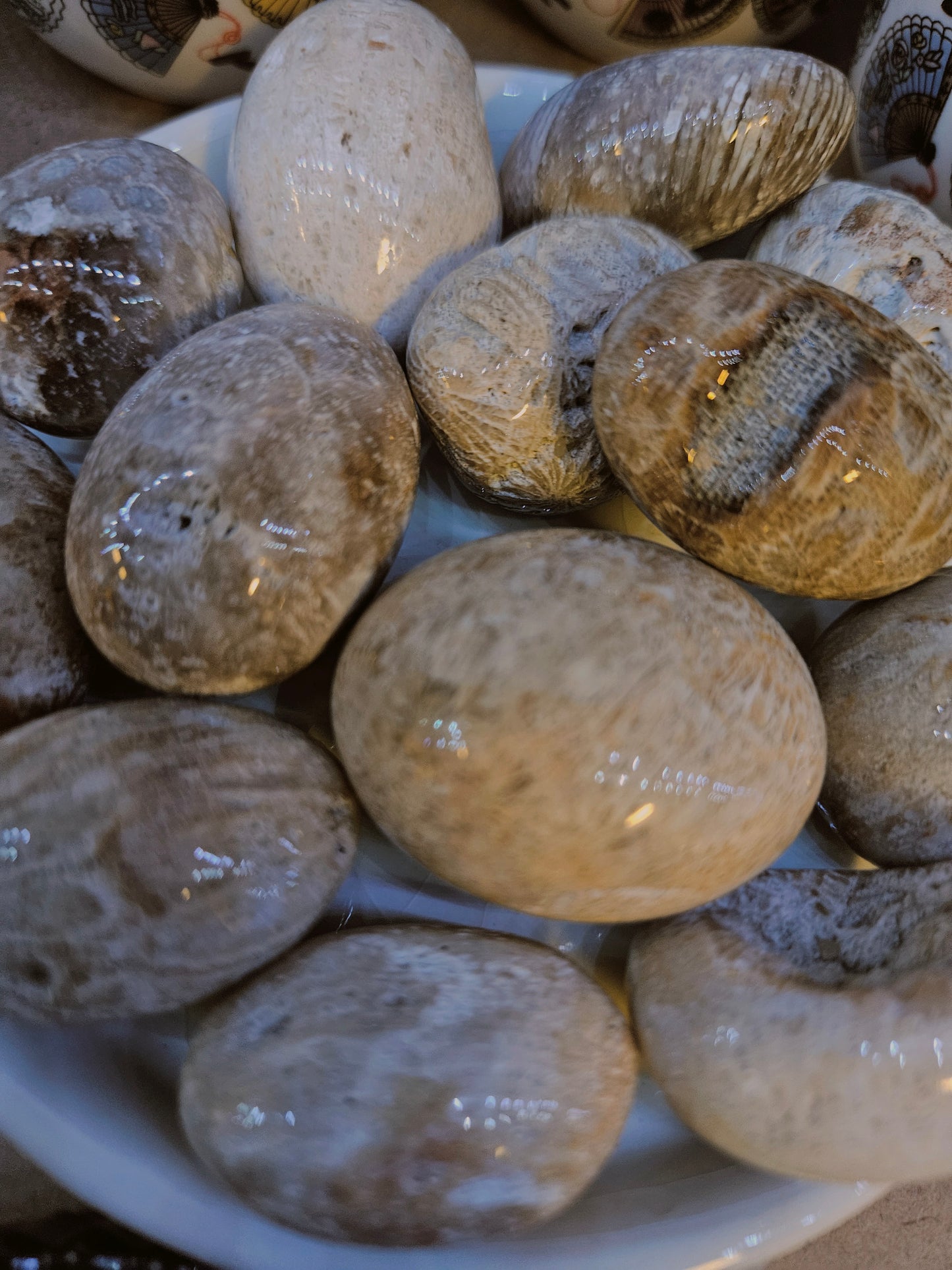 Fossil Coral Jasper medium tumble