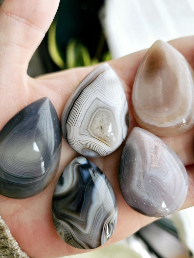 Botswana Agate Palm / Teardrop