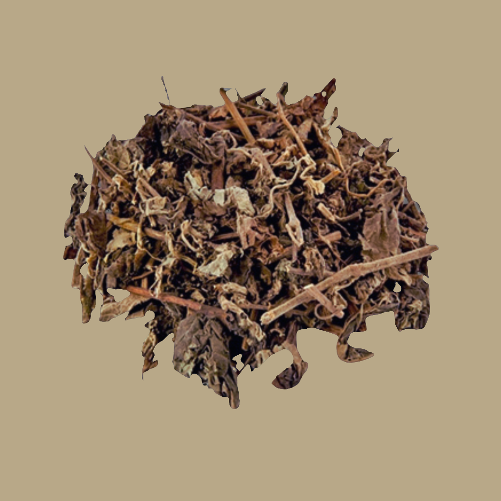 Patchouli Herb Stems & Leaves