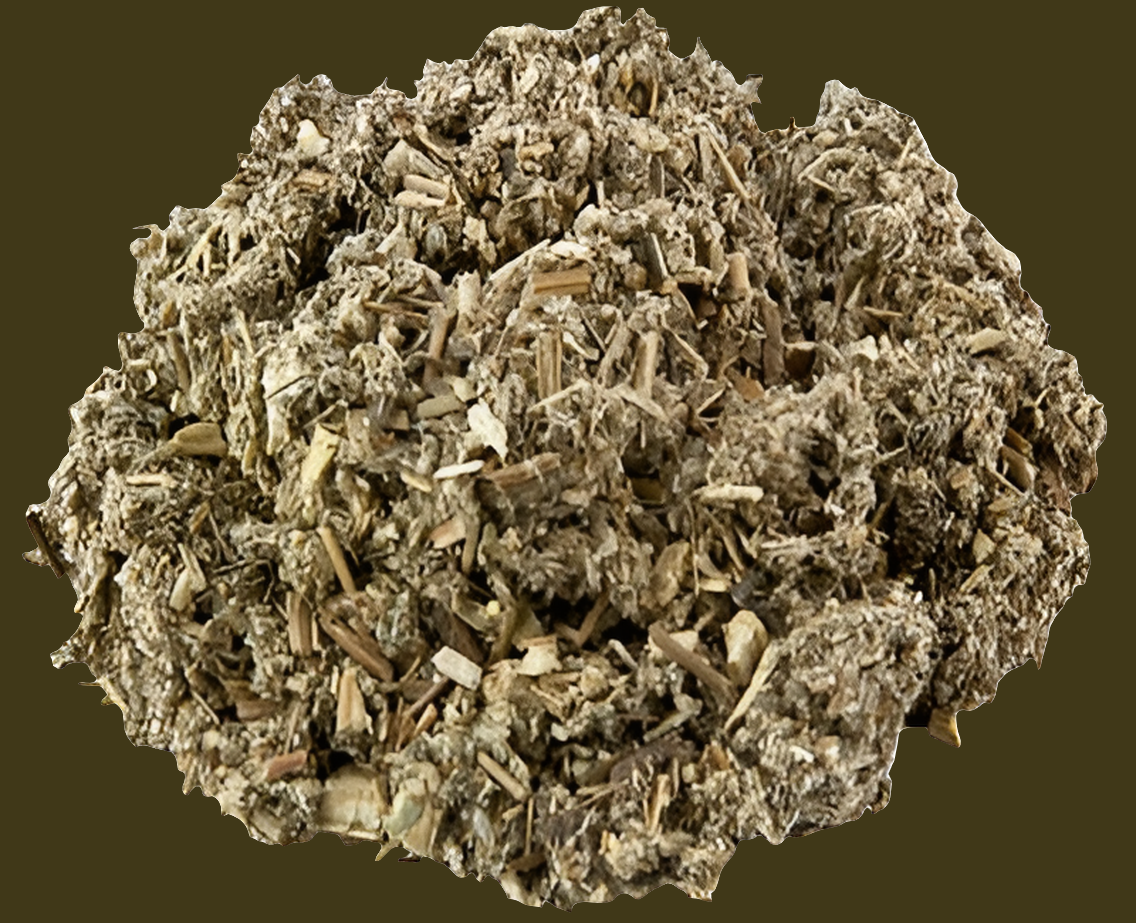 Black Sage / Mugwort