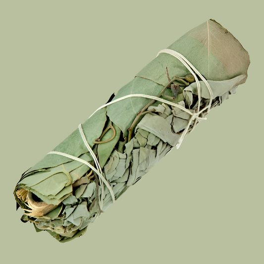 Eucalyptus & White Sage Smudge Stick 5"