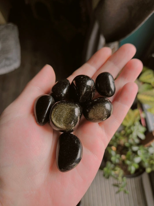 Gold Sheen Obsidian Tumble Stone